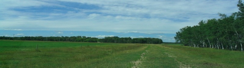 The Road to the Homestead: Sirko, Manitoba, Canada